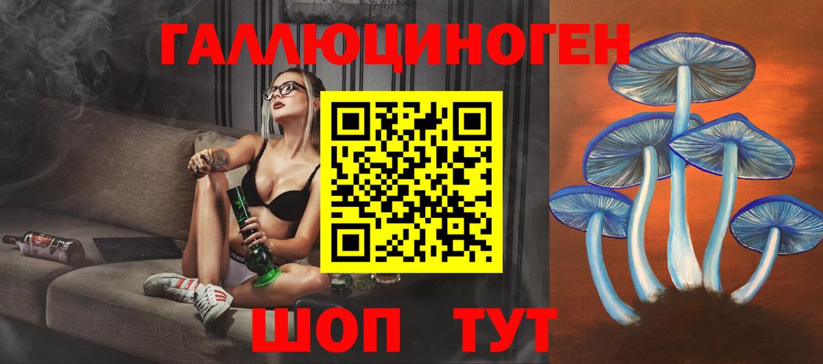 Галлюциногенные грибы Psilocybine cubensis Новосибирск